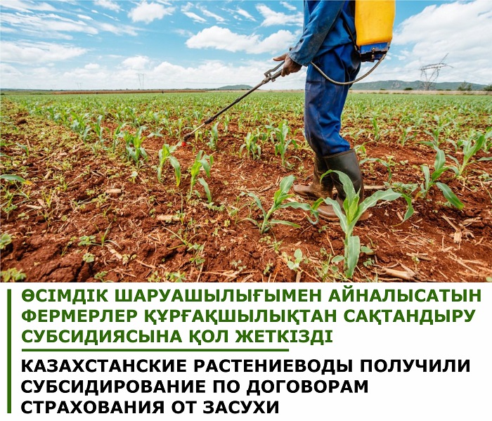 Казахстанские растениеводы получили субсидирование по договорам страхования от засухи