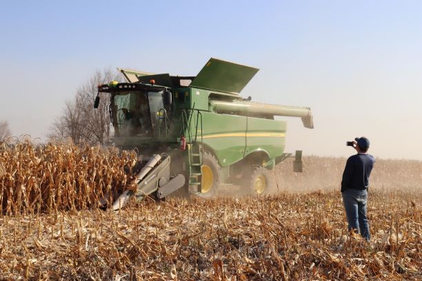Учёные НАНОЦ реализуют совместный проект с американской компанией по интродукции кукурузы для производства попкорна