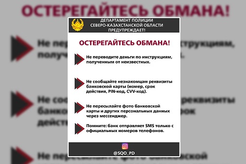 Полицейские Петропавловска задержали подозреваемого в интернет-мошенничестве, завладевшего паролем чужого телефона