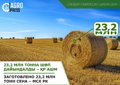 Заготовлено 23,2 млн тонн сена – МСХ РК