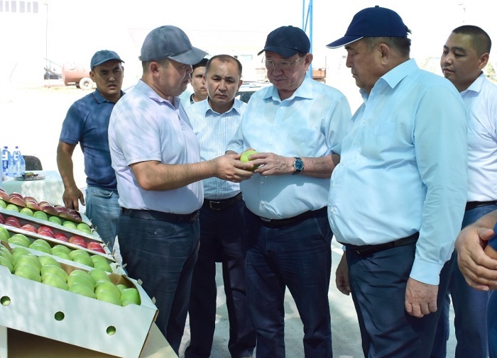 Сенаторы посетили сельскохозяйственные производства Туркестанской области