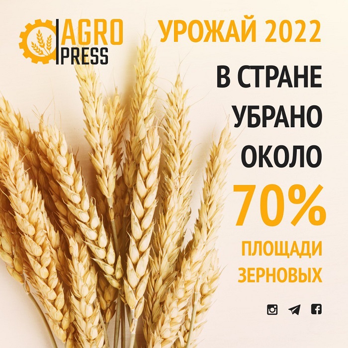 Урожай 2022: в стране убрано порядка 70% площади зерновых