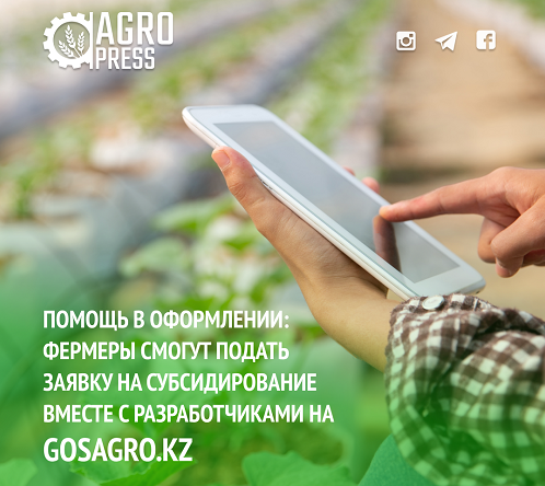 Помощь в оформлении: фермеры смогут подать заявку на субсидирование вместе с разработчиками на gosagro.kz