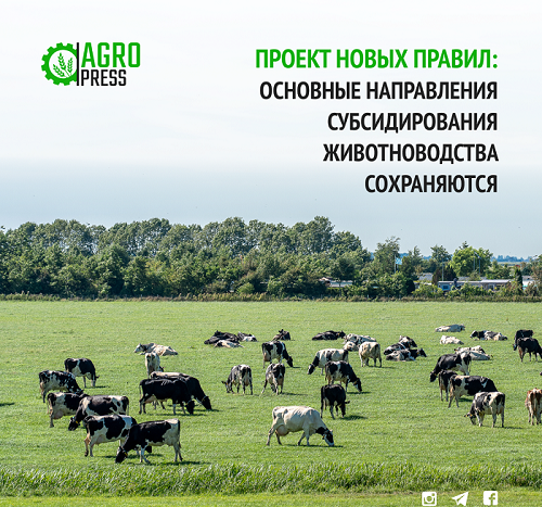 Проект новых правил: основные направления субсидирования животноводства сохраняются