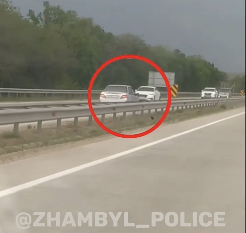 По следам публикаций: жамбылские полицейские нашли и привлекли к ответственности водителя за выезд на встречную полосу