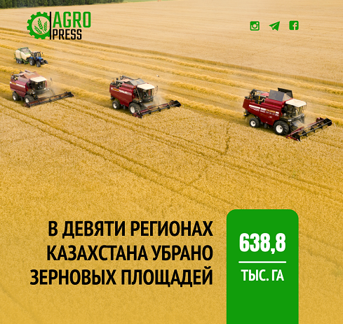 В девяти регионах Казахстана убрано 638,8 тыс. га зерновых площадей
