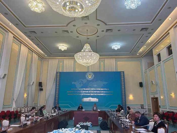 Вопросы административной юстиции и приоритеты Омбудсмена по детям обсудили в МИД Казахстана