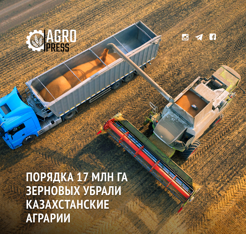 Порядка 17 млн га убрали казахстанские аграрии