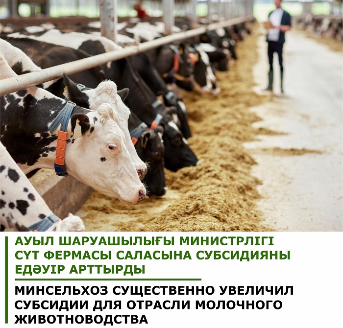 Минсельхоз существенно увеличил субсидии для отрасли молочного животноводства