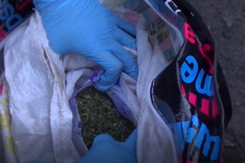 Свыше 2 кг. наркотиков изъяли полицейские СКО у жителя райцентра