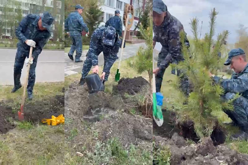 В СКО полицейские высадили ели в рамках акции «Таза Қазақстан»