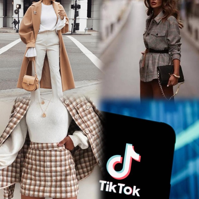 Задержана мошенница, обманывавшая людей через TikTok